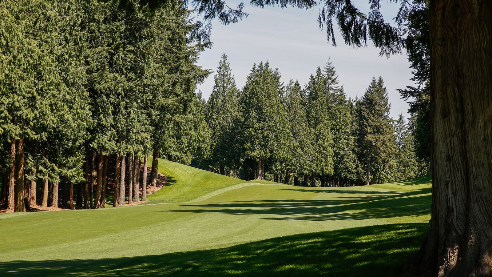 One of the holes at Sahalee
