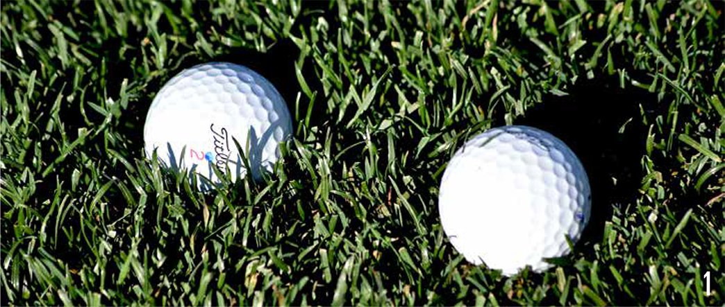 Two balls, one sitting down in the rough and one on top