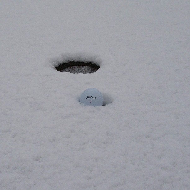Ian Poulter tweeted this pic