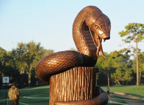 Your greeting at the start of the Snake Pit