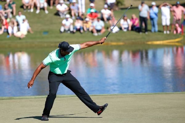 Tiger sinks another one