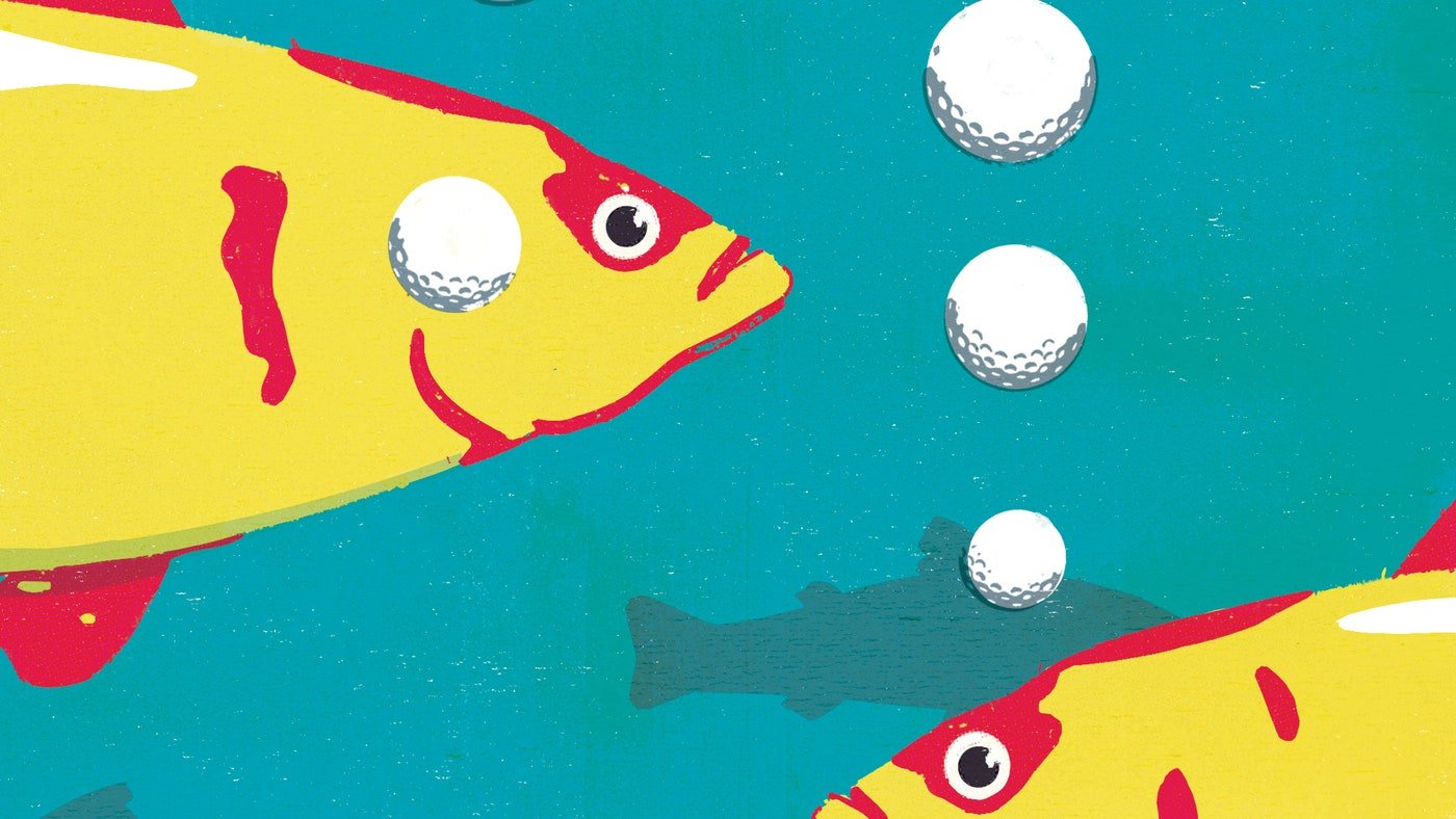 Fish and golf balls