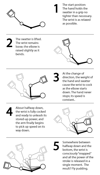 Flyswatter movement sequence