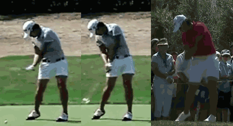 2100/2012 comparison of Yani's swing
