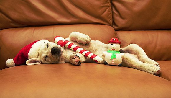 Holiday hangover